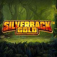 Silverback Gold