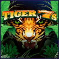Tiger 7s